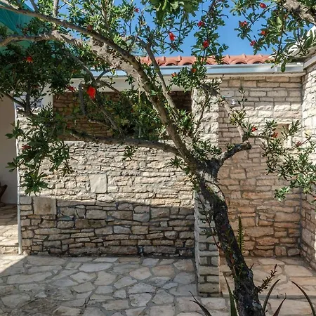 Holiday home House Sanja Cafo *