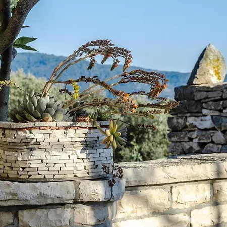 House Sanja Cafo Holiday home Vela Luka